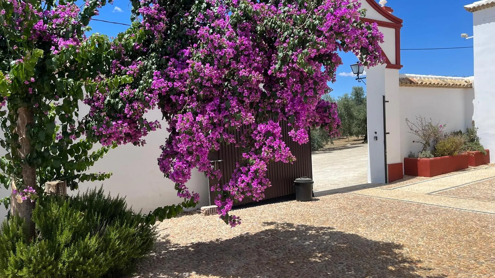 Villa Cortijo Dominguez - Rural Experience Lucena